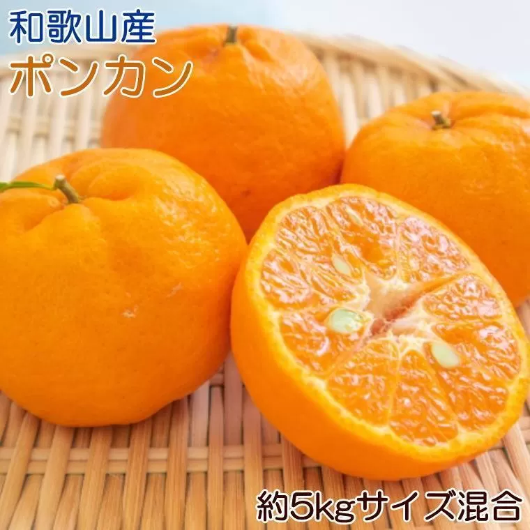 和歌山産ポンカン約5kg（サイズ混合・秀優品）★2026年2月初旬頃より順次出荷［TM136］