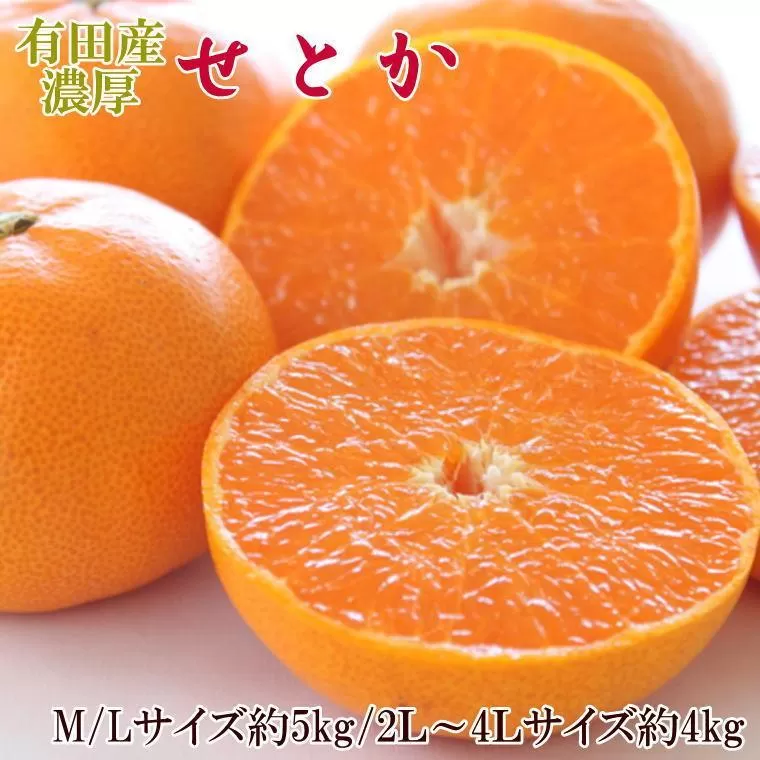 一度は食べていただきたい「有田産のせとか」約4〜5kg（サイズおまかせ）★2026年2月中旬頃より順次発送［TM138］