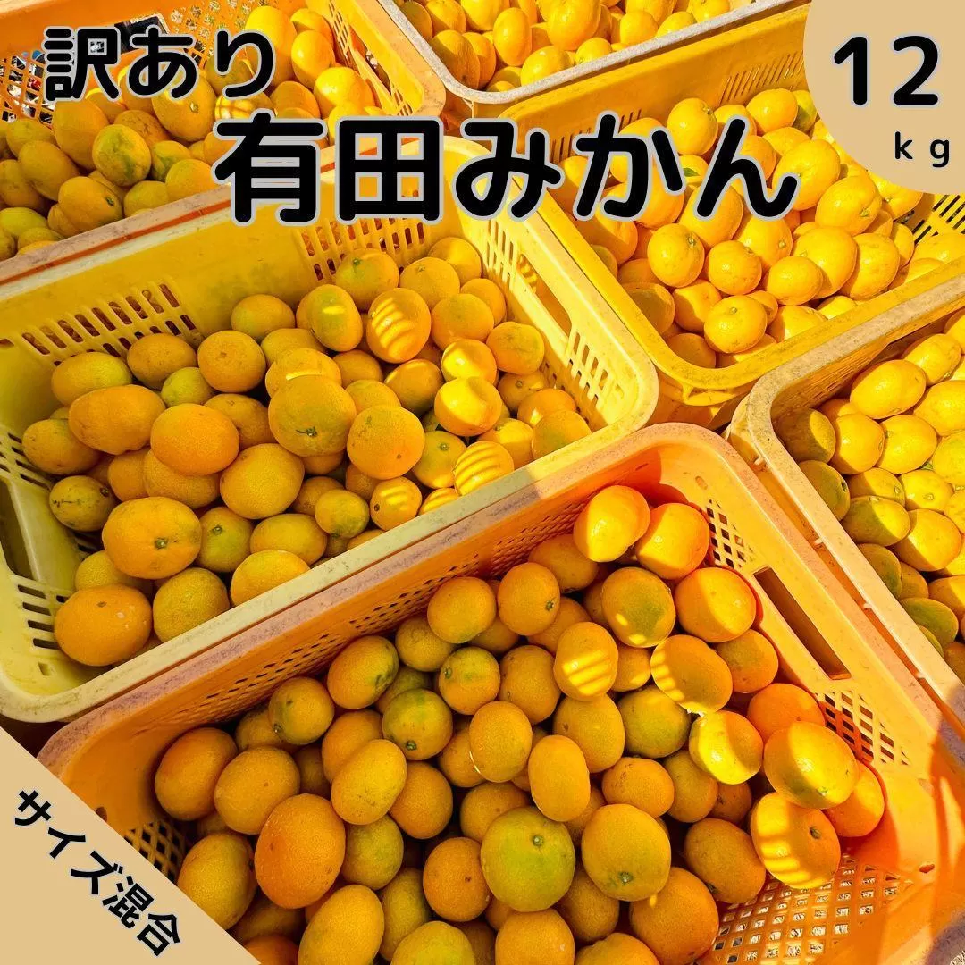 農家直送×送料無料】有田みかん訳あり約10kg☆大小混合・ご家庭用に 