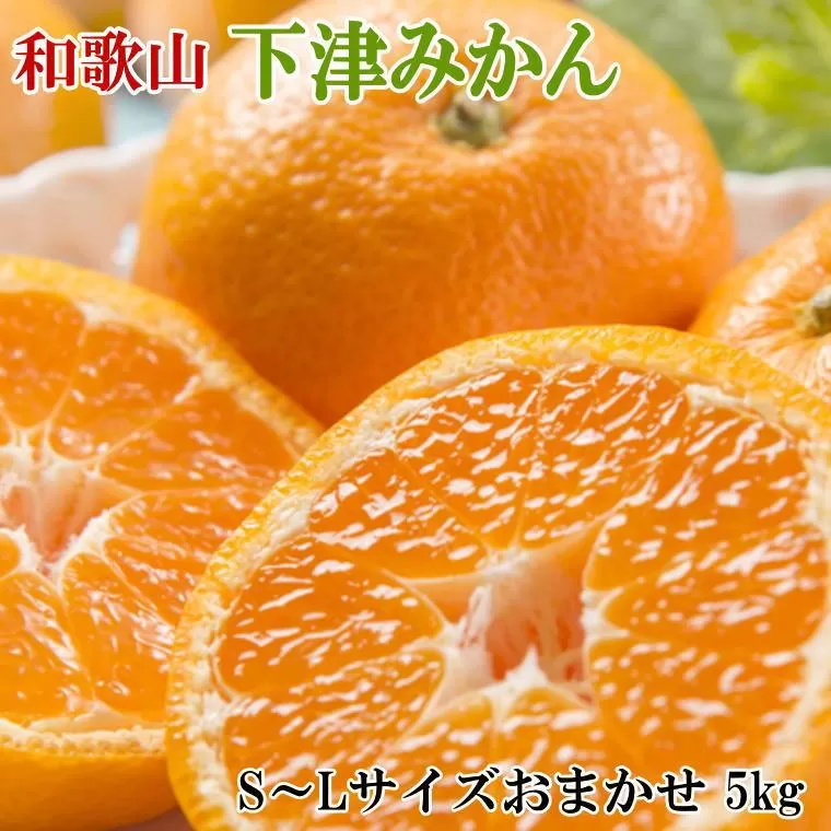 【産直・秀品】和歌山下津みかん約5kg（S〜Lサイズおまかせ）★2025年11月中旬頃より順次発送【TM133】