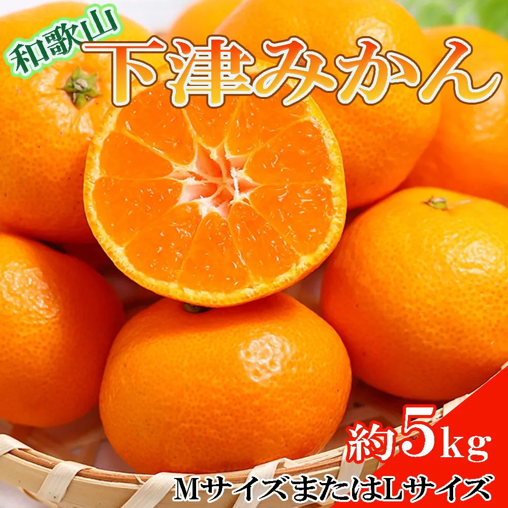［産直・秀品］和歌山下津みかん約5kg(MサイズまたはLサイズのいずれかをお届け) ★2026年11月中旬頃より順次発送［TM74］