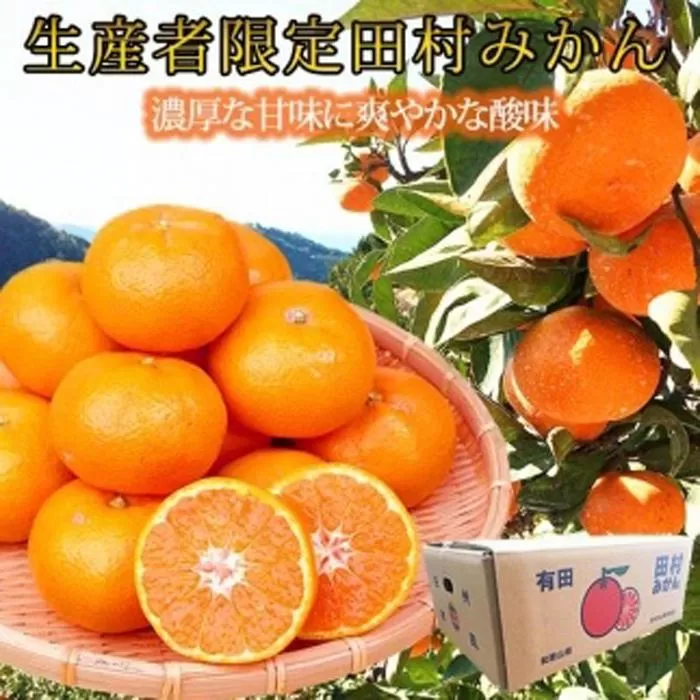 高級ブランド田村みかん　10kg［2026年11月下旬以降発送］［先行予約］［UT17］