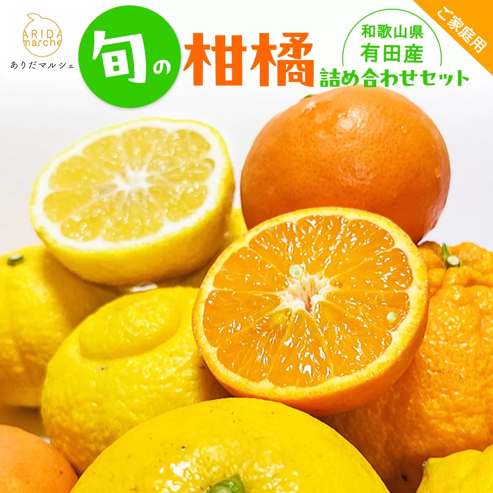 有田育ちの 旬の 柑橘 詰合せセット（ご家庭用）約2.5kg［先行予約］［MS63］