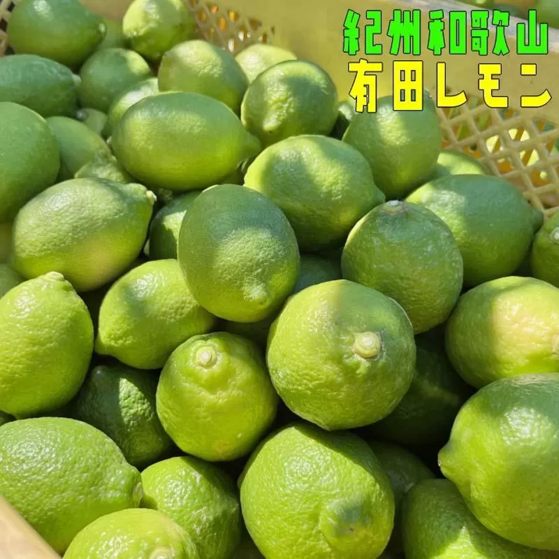 紀州 和歌山 有田 レモン 和歌山県産 約3kg【先行予約】【発送時期：2023年10月上旬〜2024年1月下旬】