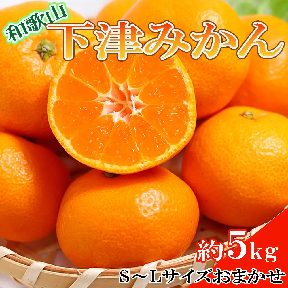 ［産直・秀品］和歌山下津みかん約5kg（S～Lサイズおまかせ）★2026年11月中旬頃より順次発送［TM133］