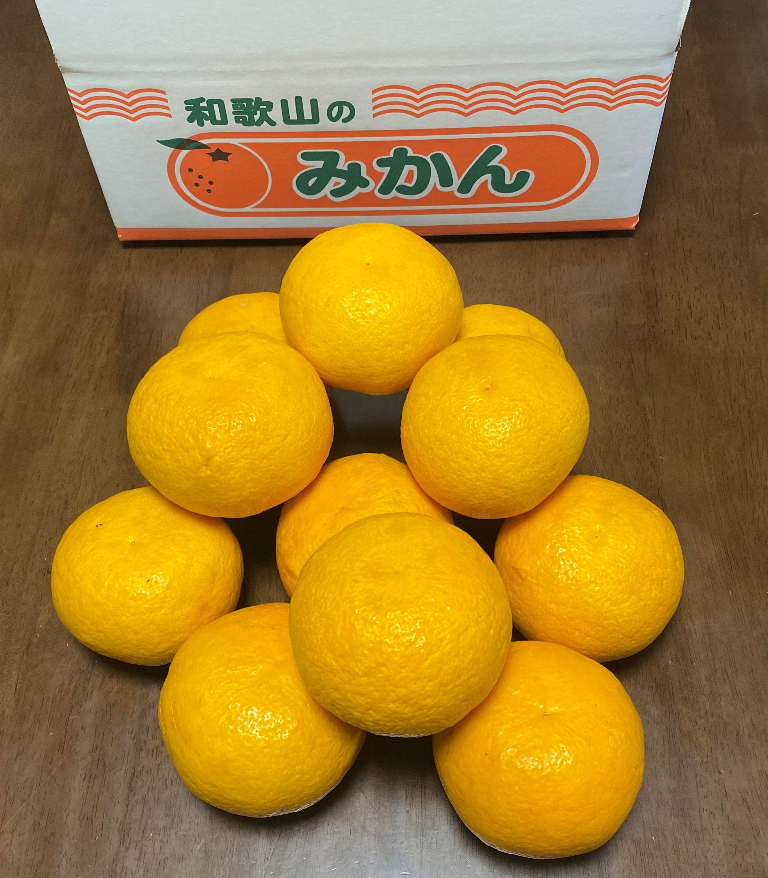 地元印南町産 樹熟 甘夏みかん 約7.5kg（20個前後） 大玉L〜2Lサイズ 