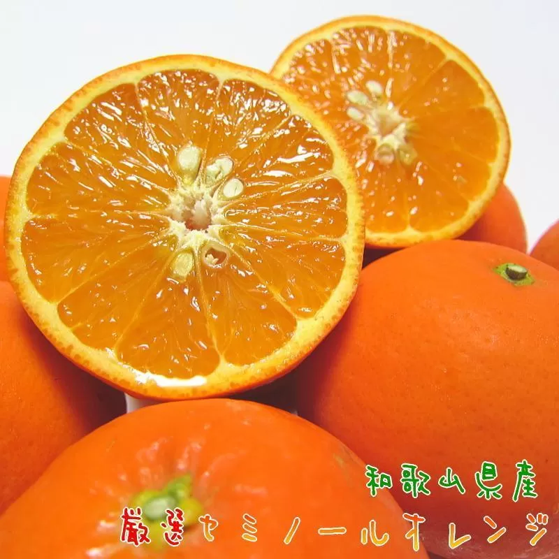 特選 セミノールオレンジ 約1.5kg［先行予約・2027年4月～発送］［MS59］