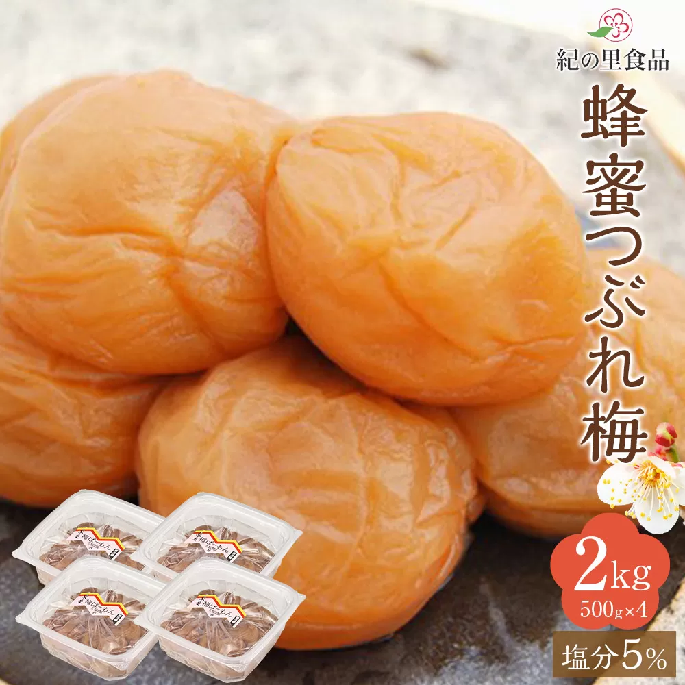 紀州南高梅 蜂蜜つぶれ梅 塩分5％ 2kg (500g×4) ［Kn23］