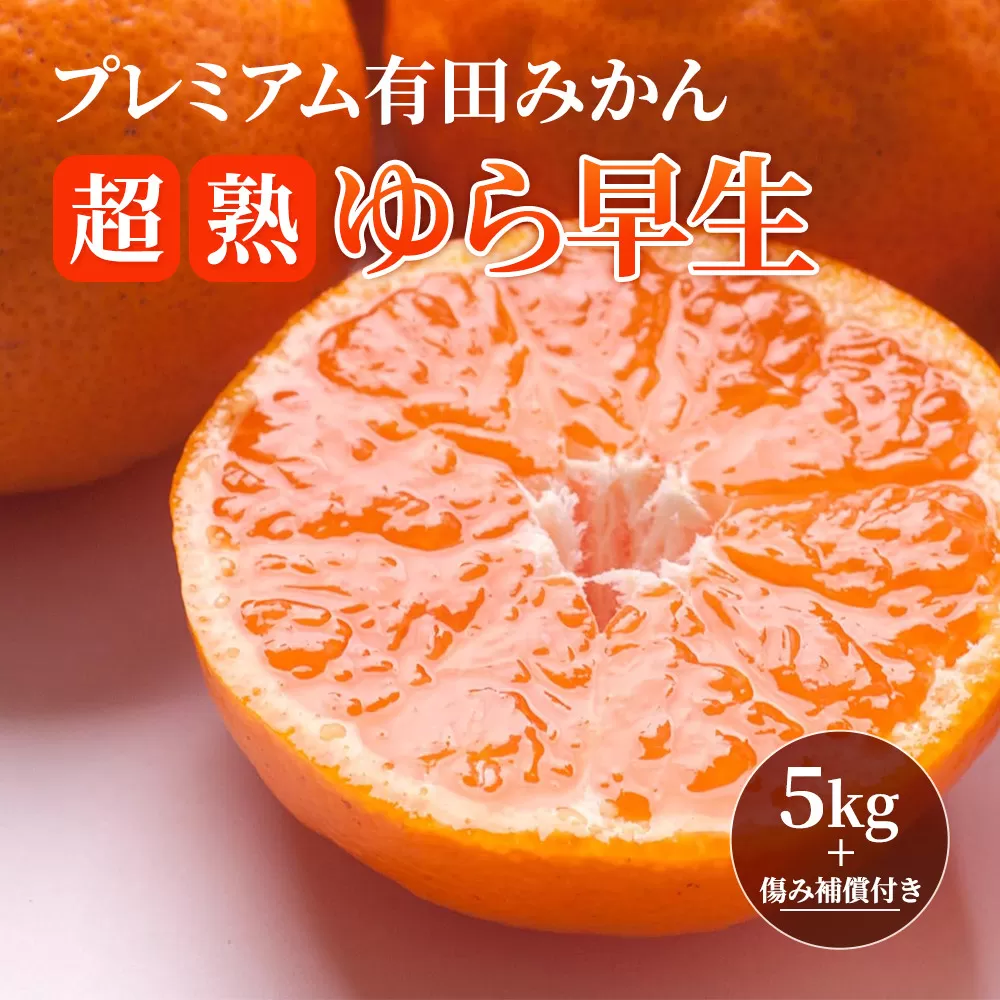 ［先行予約］プレミアム 有田みかん5kg+250g（傷み補償分）［2026年10月初旬から2027年1月末日頃順次発送予定］［IKE250］