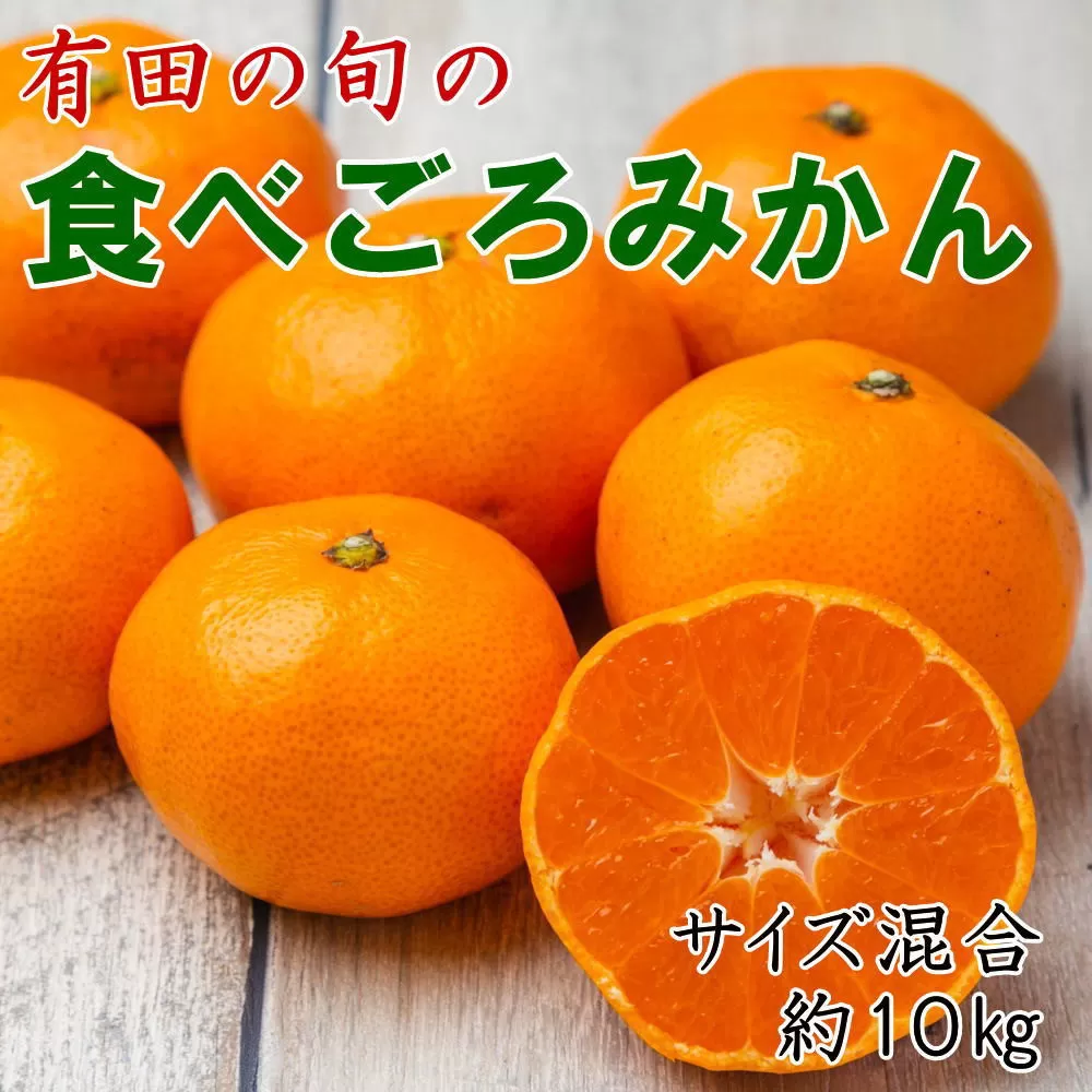 有田の旬の食べごろみかん約10kg（サイズ混合）（秀・優品混合）★2026年11月下旬頃より順次発送 ［TM227］