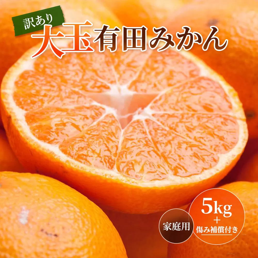 ［先行予約］家庭用 大きな有田みかん5kg+250g（傷み補償分）［2026年11月中旬から2027年1月末日頃、順次発送予定］［IKE244］