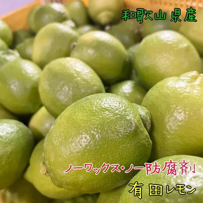 紀州和歌山　有田レモン　約２kg【農家直送】【先行予約・2024年10月上旬～2025年1月下旬発送】