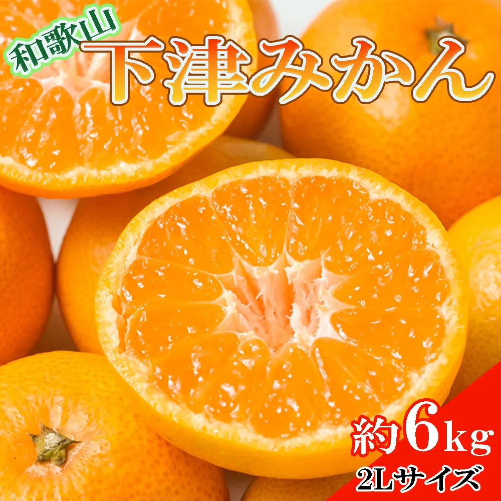 ［産直・秀品］和歌山下津みかん約6kg（2Lサイズ）★2026年11月中旬頃より順次発送［TM75］