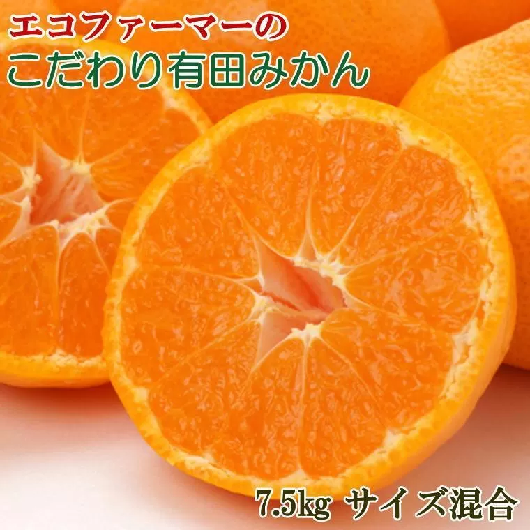 エコファーマーのこだわり有田みかん約7.5kg（サイズ混合）★2025年11月中旬頃より順次発送［TM94］