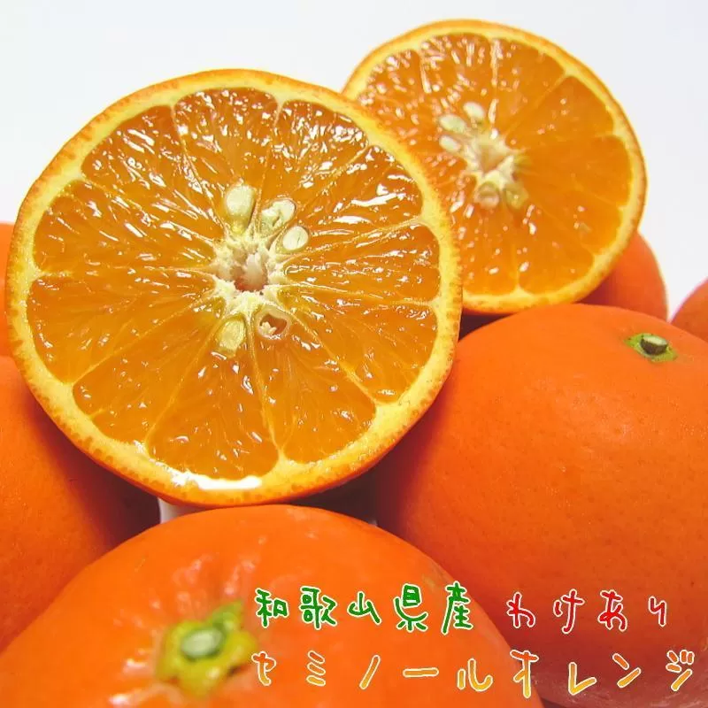 有田育ちの セミノールオレンジ (ご家庭用) 約5kg［先行予約・2027年4月～発送］［MS56］