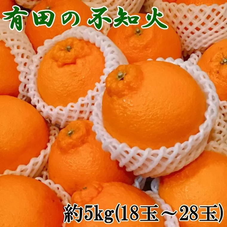 ［濃厚］有田の不知火約5kg（18〜28玉）★2026年2月中旬頃より順次発送［TM35w］