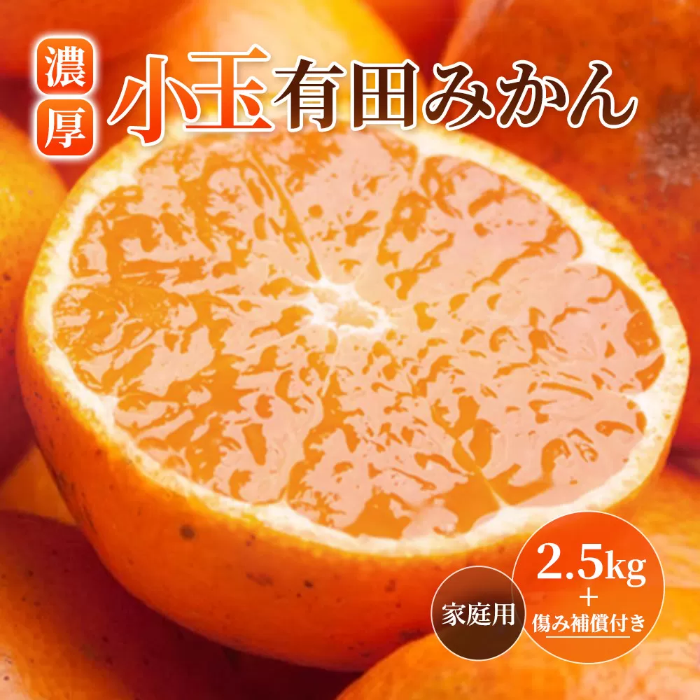 ［先行予約］家庭用 小さな有田みかん2.5kg+250g（傷み補償分）［2026年10月初旬から2027年1月末日頃順次発送予定］［IKE246］