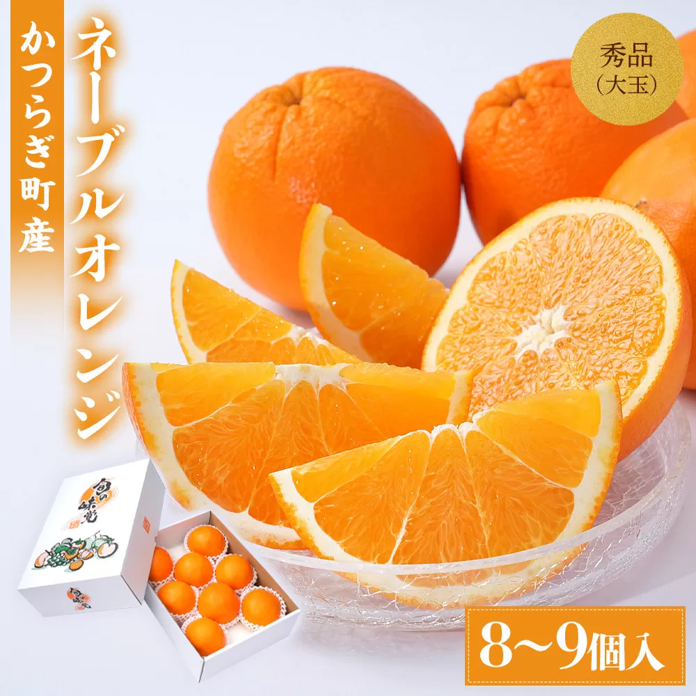 [先行予約] 和歌山県産ネーブル 約4kg　大玉（8個～9個）秀品 こだわり農家厳選 ［KG35］