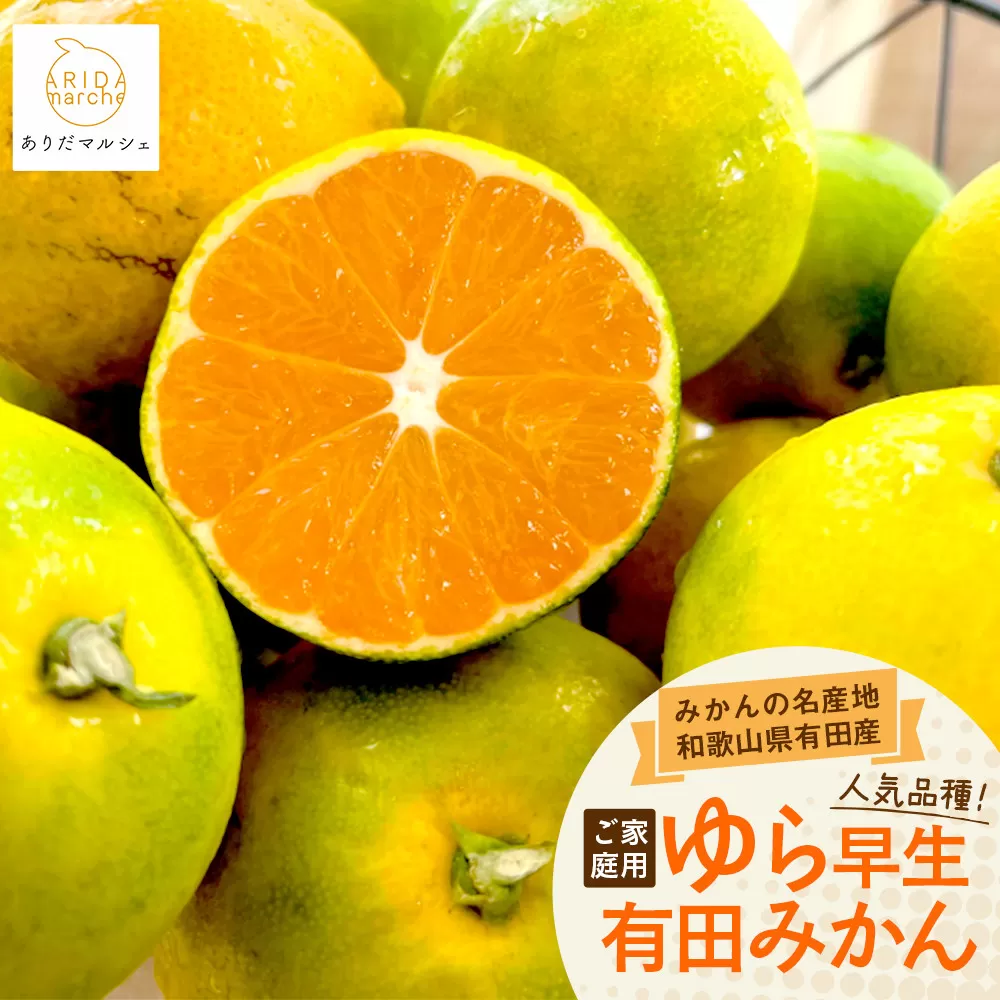 ［先行予約］ご家庭用ゆら早生有田みかん約3kg［2025年10月上旬発送］［訳あり］［MS26］