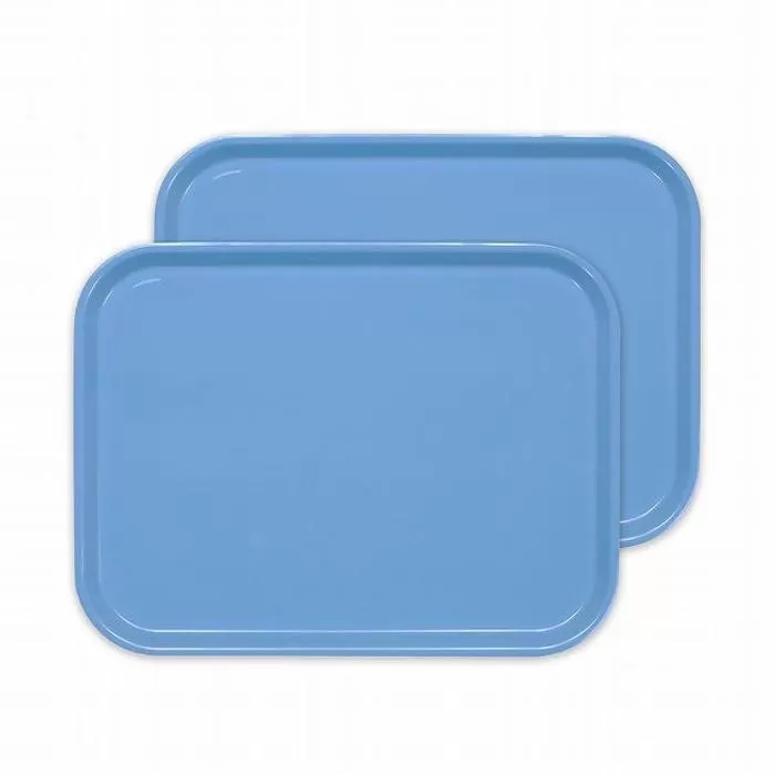 カラフルピノトレー L 39cm ブルー 2枚組 タツクラフト 【Tk67】