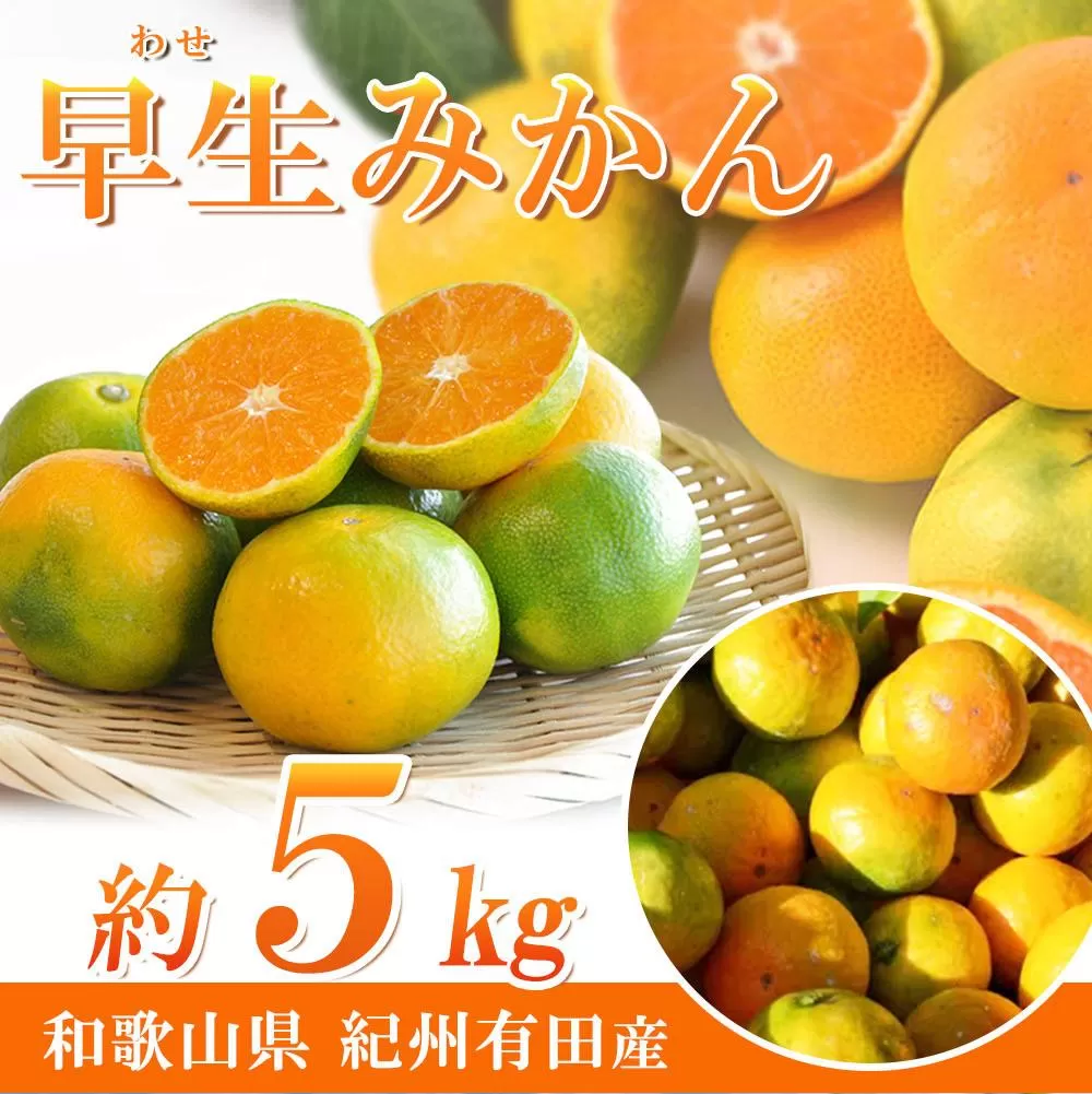 紀州和歌山有田産ゆら早生みかん　5kg【2025年発送】【UT34】