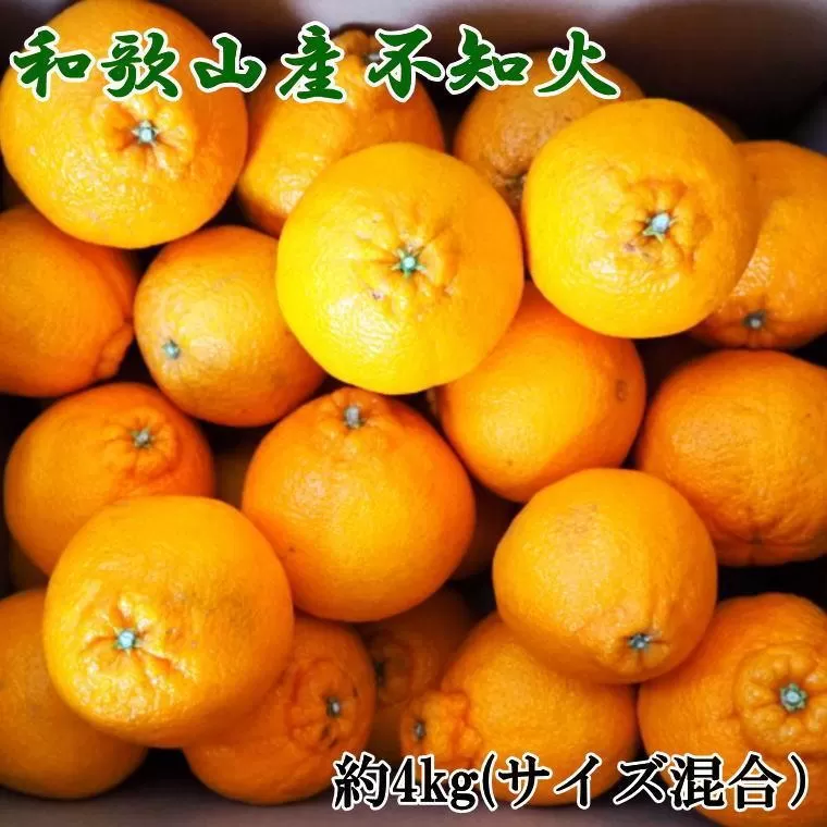 和歌山県産不知火約4kg（サイズ混合）★2026年2月下旬頃より順次発送［TM130］