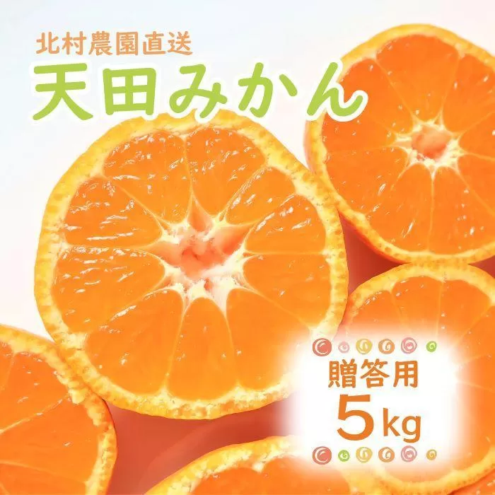 先行予約【2025年11月下旬より発送】濃厚温州みかん贈答用5kg（和歌山天田みかん）みかんの産地和歌山　北村農園直送