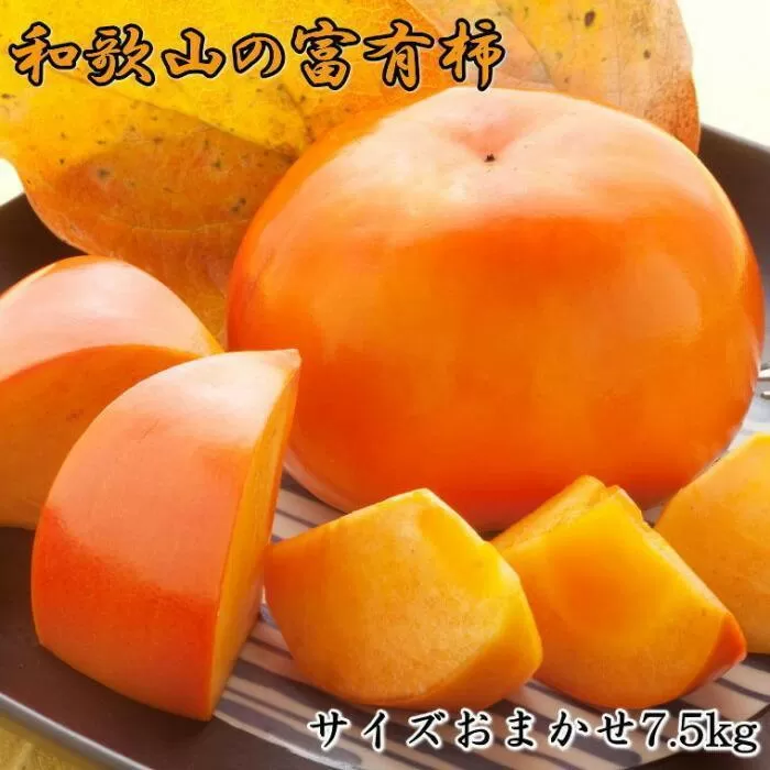  [甘柿の王様]和歌山産富有柿　約7.5kg サイズおまかせ★2025年11月上旬頃より順次発送【TM5】