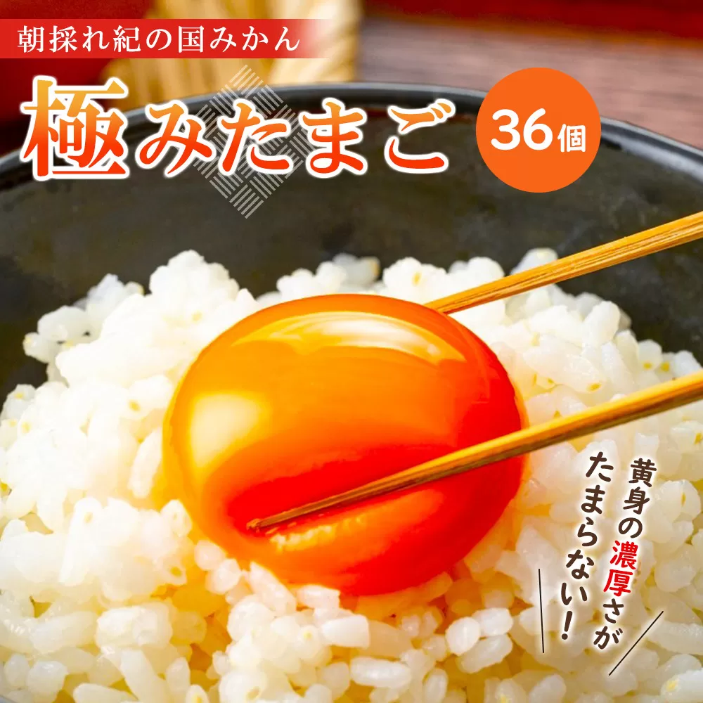 紀の国みかん極みたまご36個