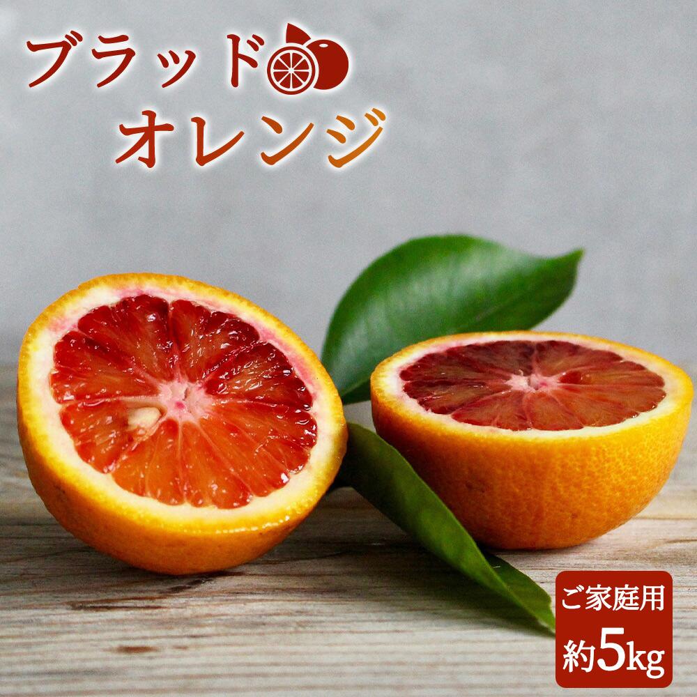 和歌山県由良町産 八朔 5kg - メルカリ