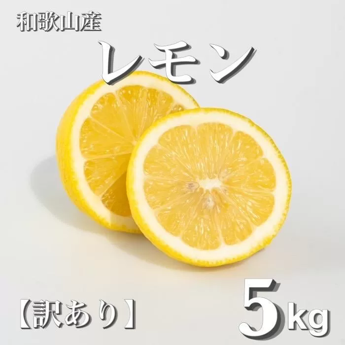 ［2027年1月中旬より順次発送］和歌山県産　レモン　約5kg　家庭用（サイズ混合）［まごころ手選別］［US1］