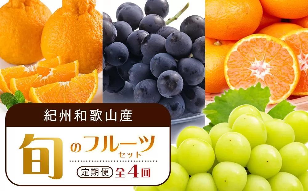 【2・8・9・12月 全4回 定期便 】紀州和歌山産旬のフルーツセット（不知火・種なし巨峰・シャインマスカット・みかん）【UT123】