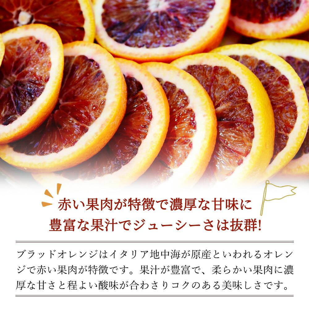 希少な柑橘!紀州有田産ブラッドオレンジ約5kg 【ご家庭用