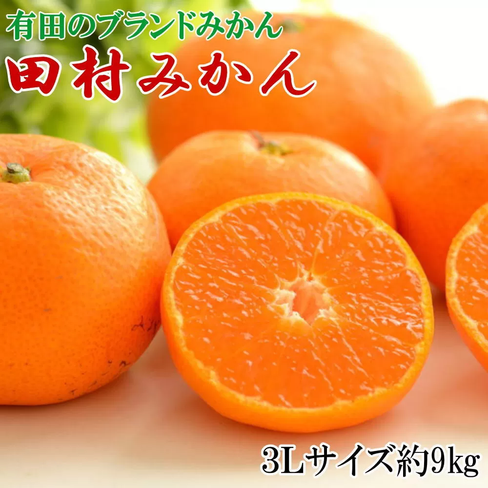 ［先行予約］［ブランドみかん］田村みかん 大玉 約9kg（3Lサイズ）★2025年11月下旬頃より順次発送