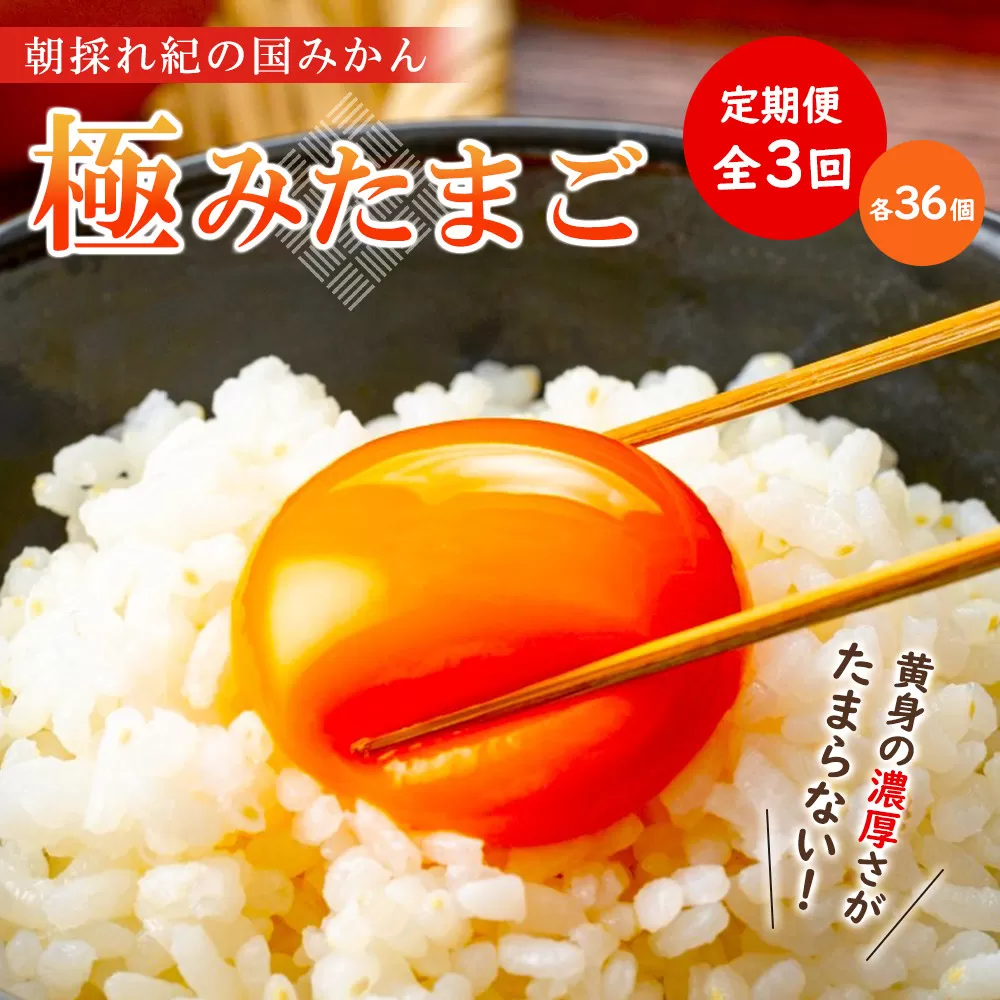 【全3回】紀の国みかん極みたまご定期便 卵 たまご 玉子 タマゴ 鶏卵  卵かけご飯
