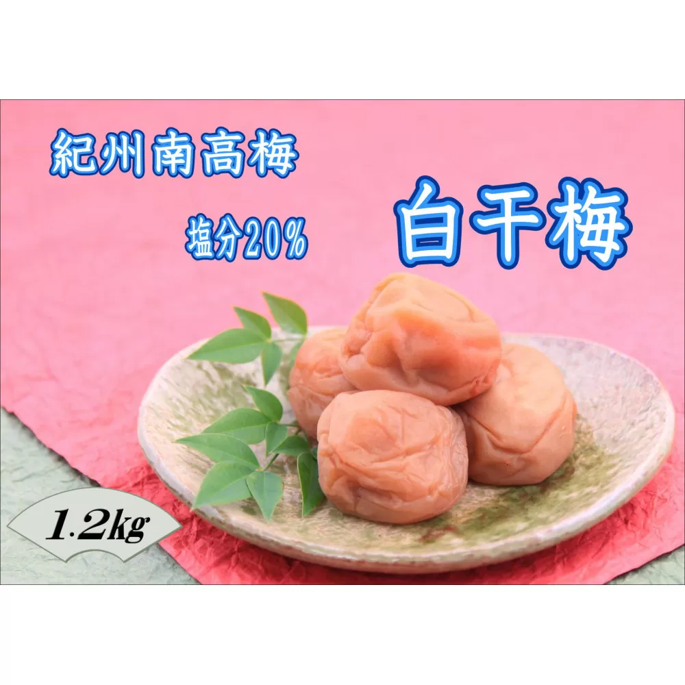 【家庭用】紀州南高梅　白干梅　1.2kg