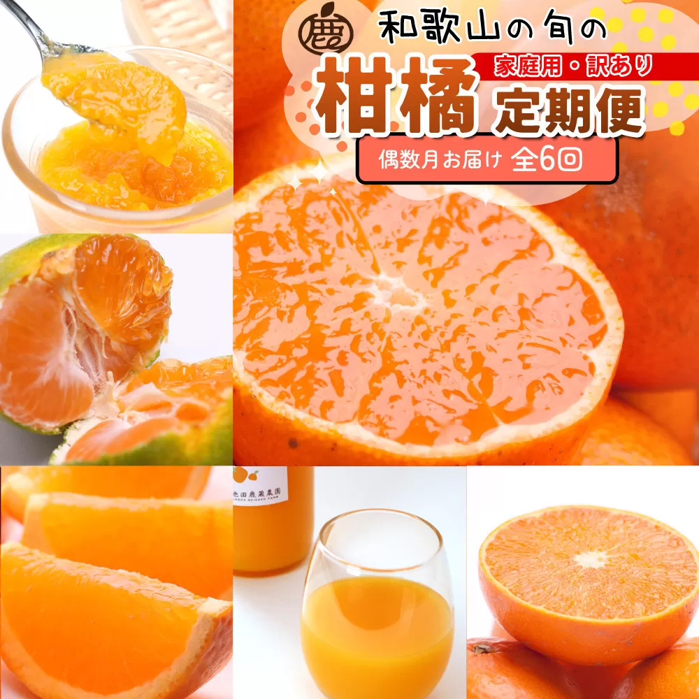家庭用 柑橘定期便S（偶数月）全6回 ［IKE302］