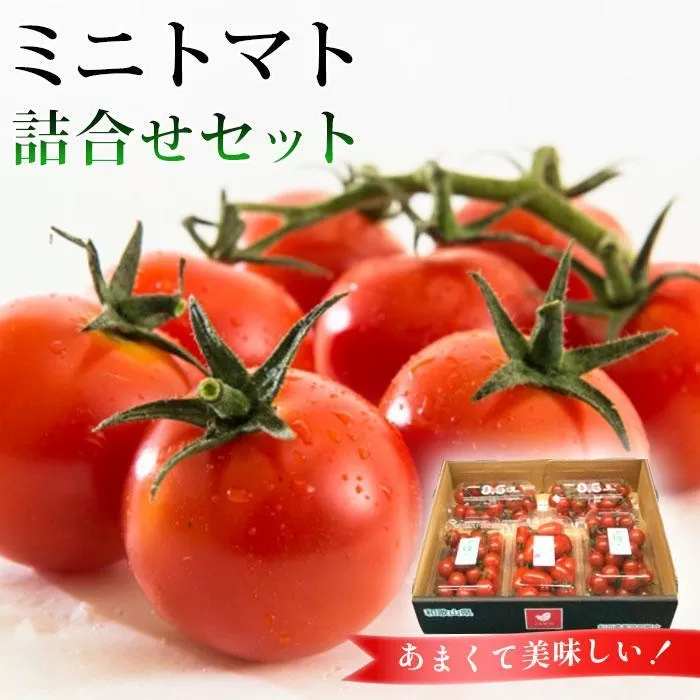 ミニトマト詰合せセット