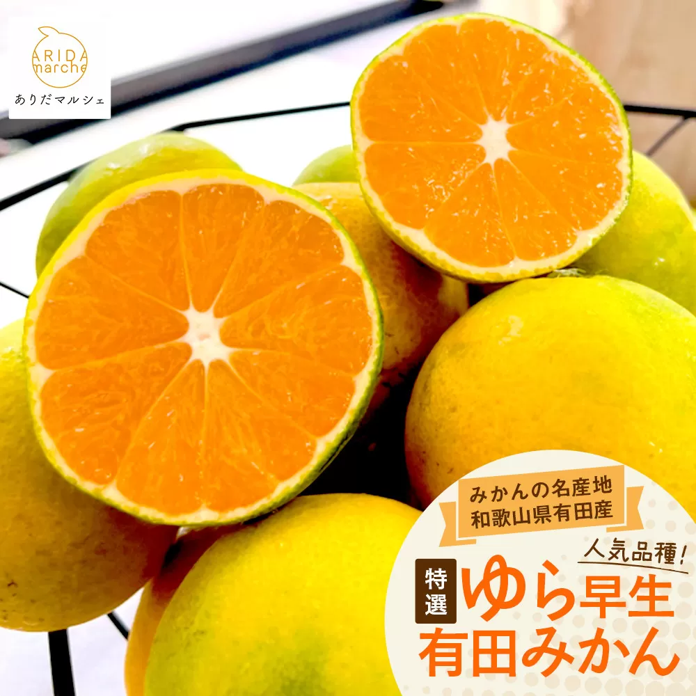 ［先行予約］特選 ゆら早生有田みかん約2kg［2025年10月上旬より発送］［サイズ混合］［MS23］