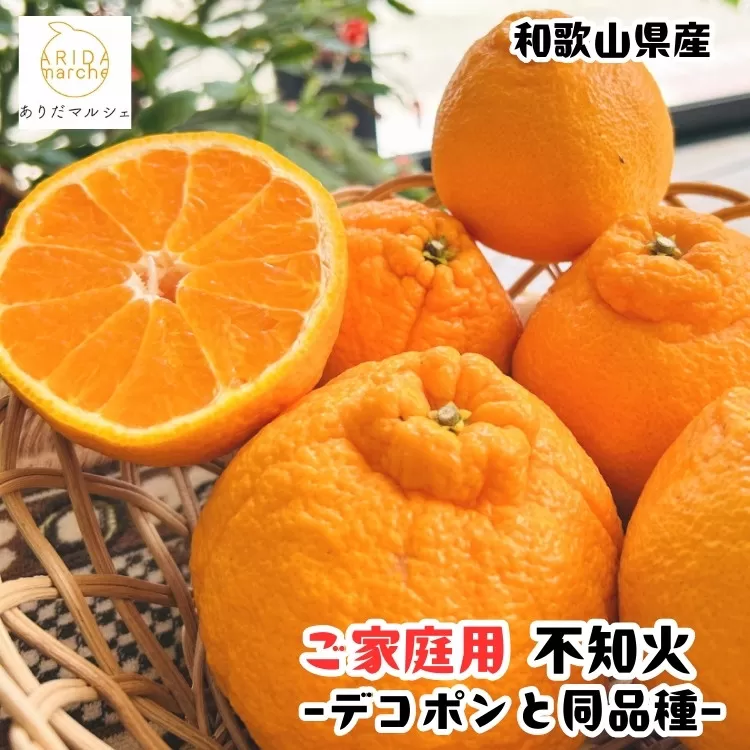 ［先行予約］有田育ちの濃厚 不知火 訳あり 家庭用  1kg ［MS144］
