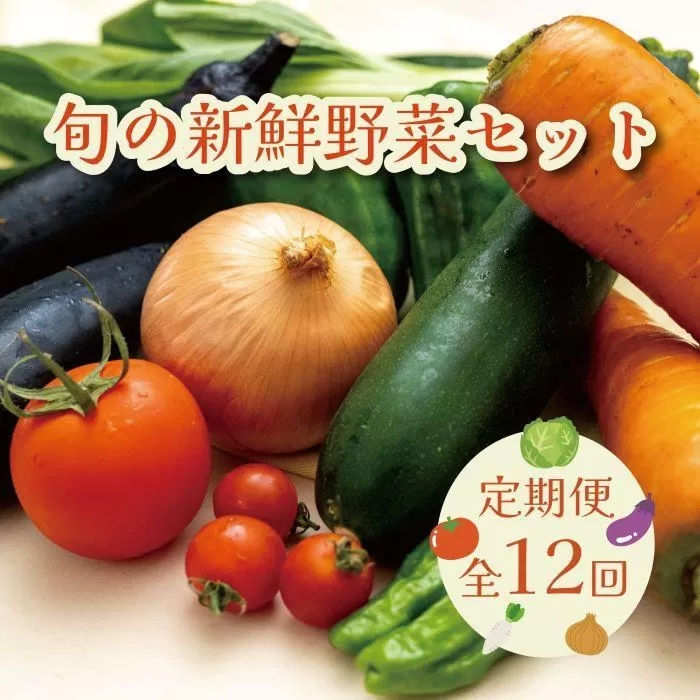 【毎月お届け全12回】旬の新鮮野菜セットA(たっぷり13種類以上)