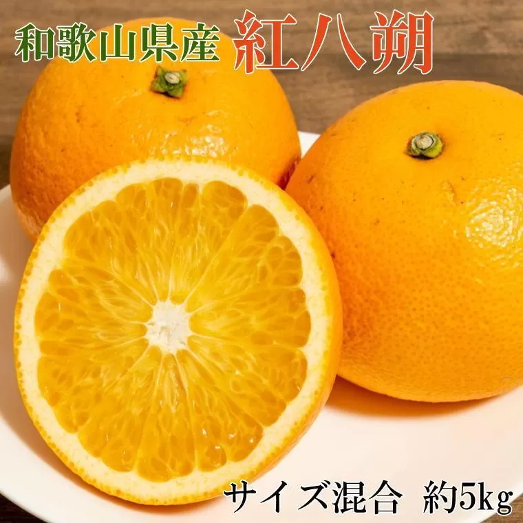 ［希少品］和歌山県産紅八朔約5kg（サイズ混合）★2026年１月下旬頃より順次発送［先行予約］［TM88］