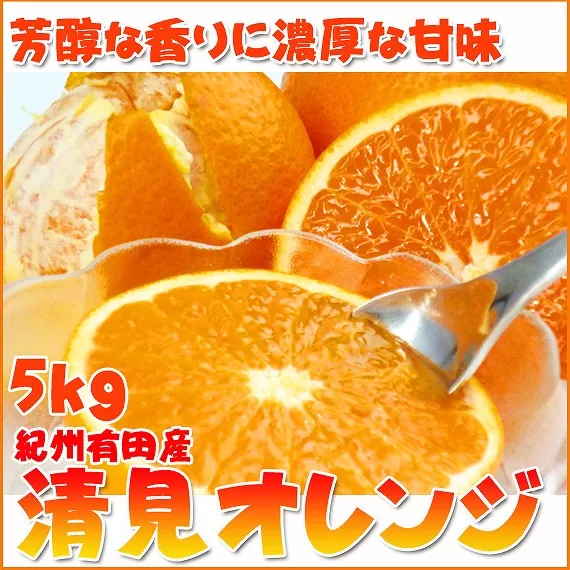 とにかくジューシー清見オレンジ　5kg［2026年3月下旬以降発送］［先行予約］［UT53］