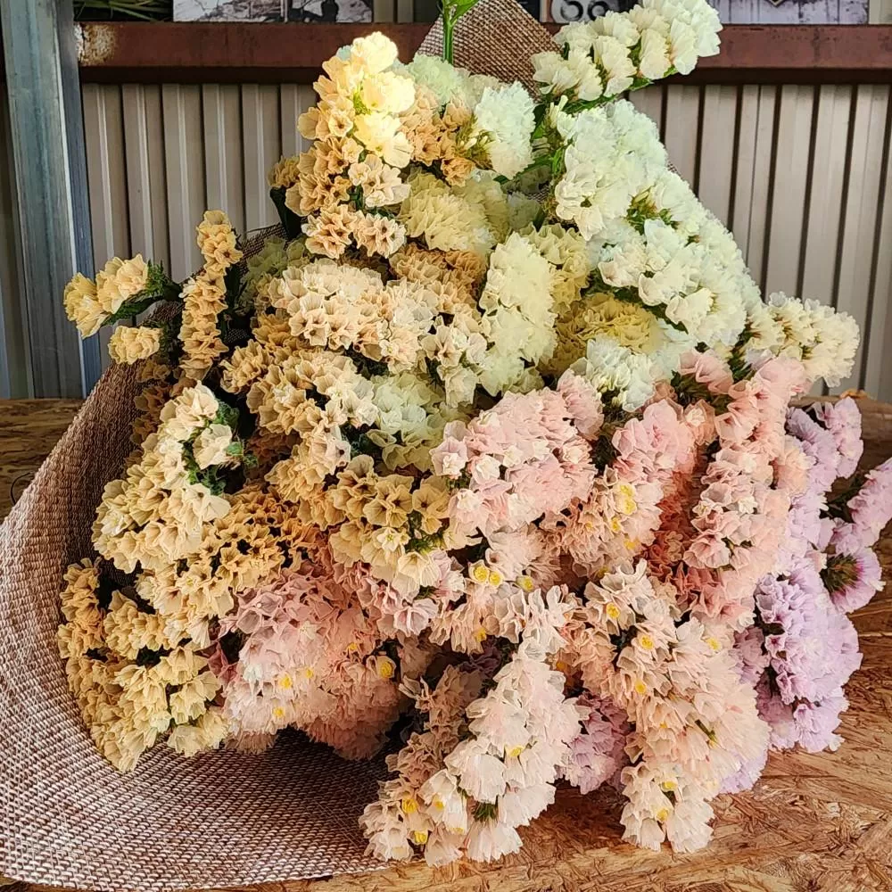 生花《スターチス》花職人Ikeda（ふるさと納税返礼品仕様 ニュアンスカラーｍix）