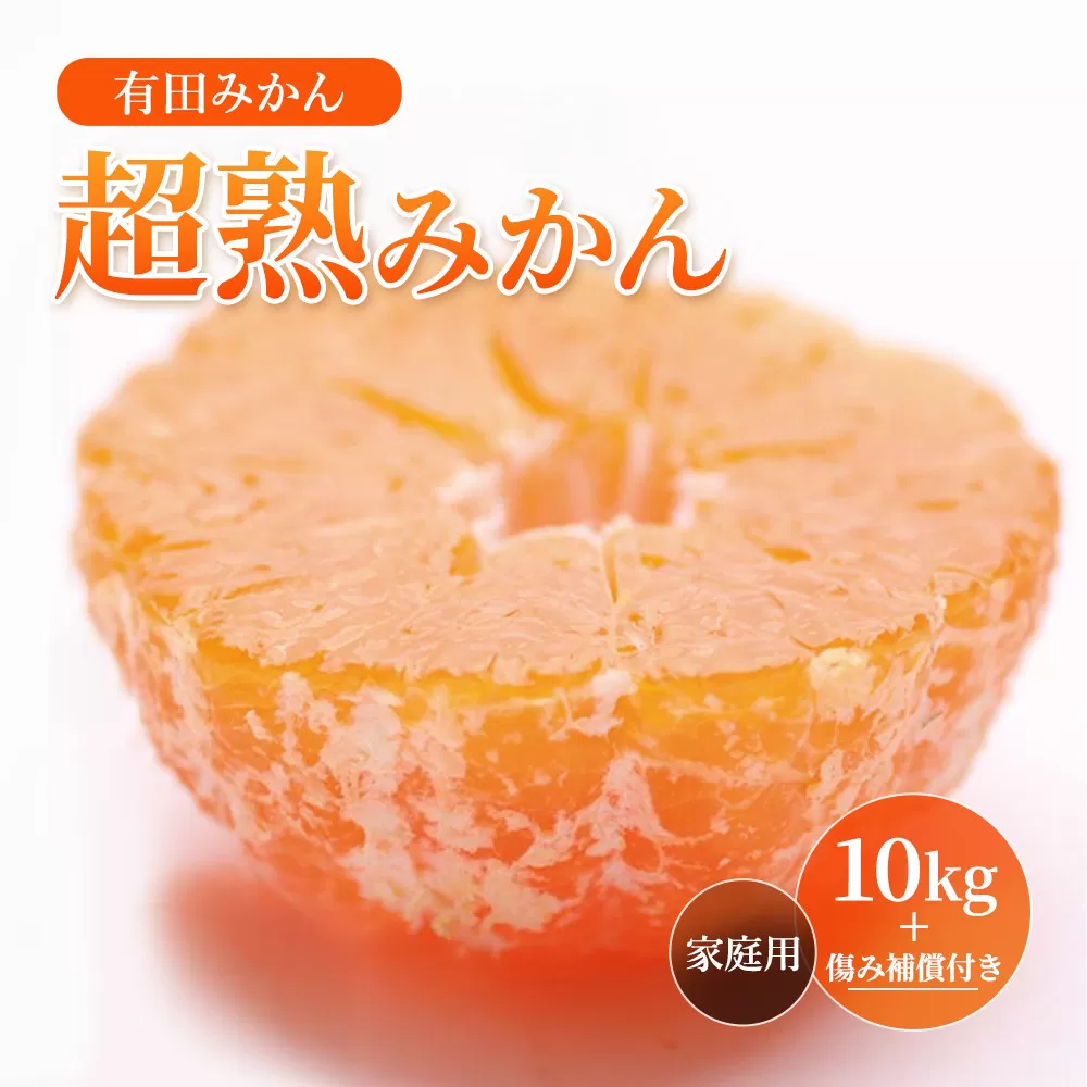 ［先行予約］家庭用 有田みかん10kg+250g（傷み補償分）［2026年10月初旬から2027年1月末日頃順次発送予定］［IKE314］