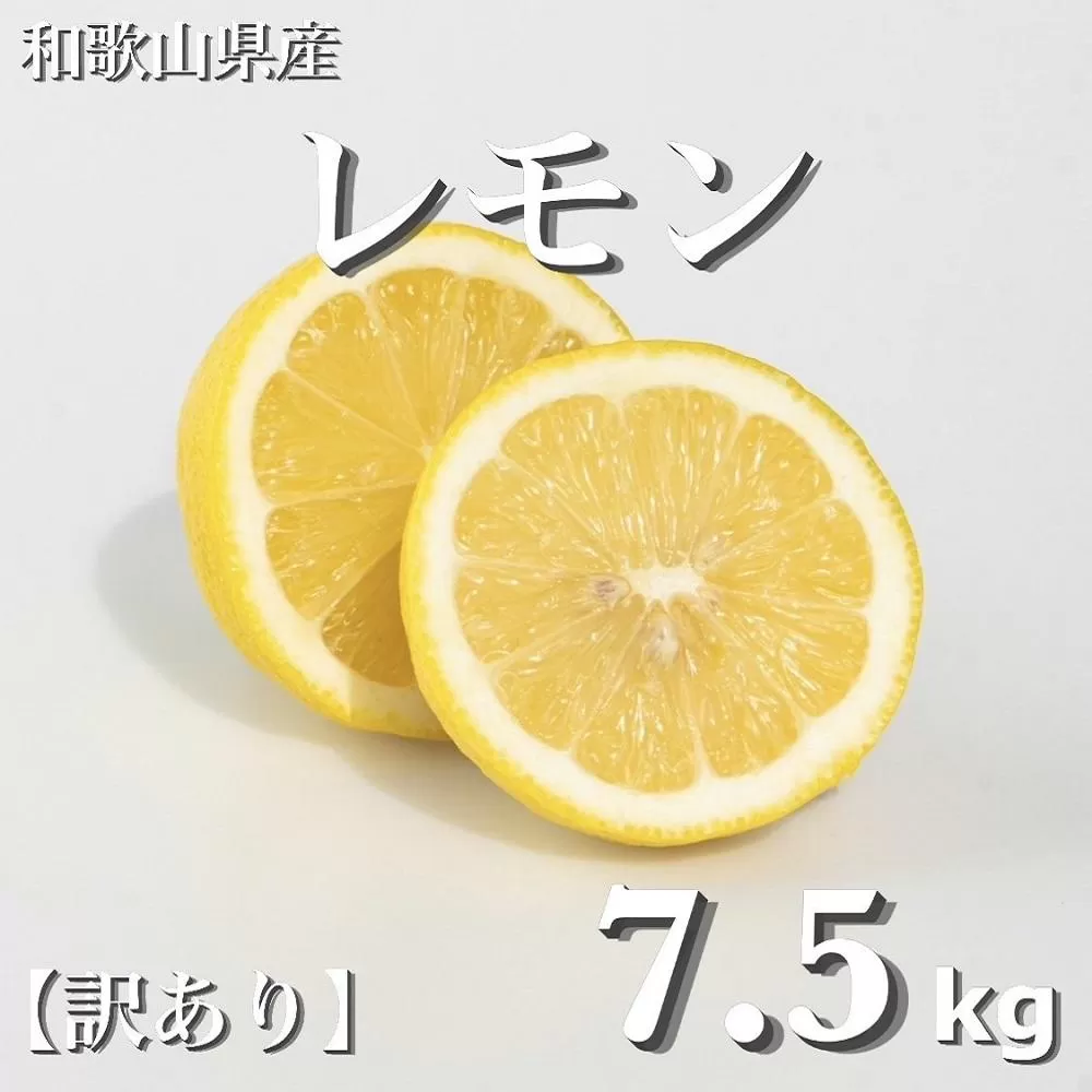 ［2027年1月中旬より順次発送］和歌山県産　レモン　約7.5kg　家庭用（サイズ混合）［まごころ手選別］［US2］