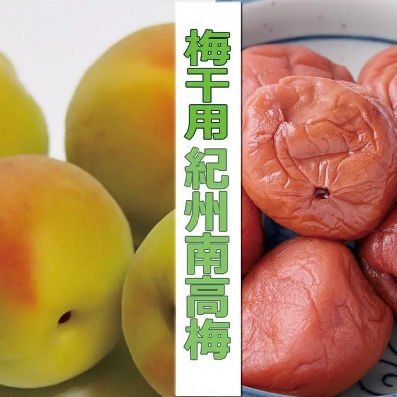 【梅干・梅酒用】（4Lまたは3L－2Kg）熟南高梅＜2025年6月上旬～7月7日発送予定＞フルーツ 果物 くだもの 食品 人気 おすすめ 送料無料【ART10】