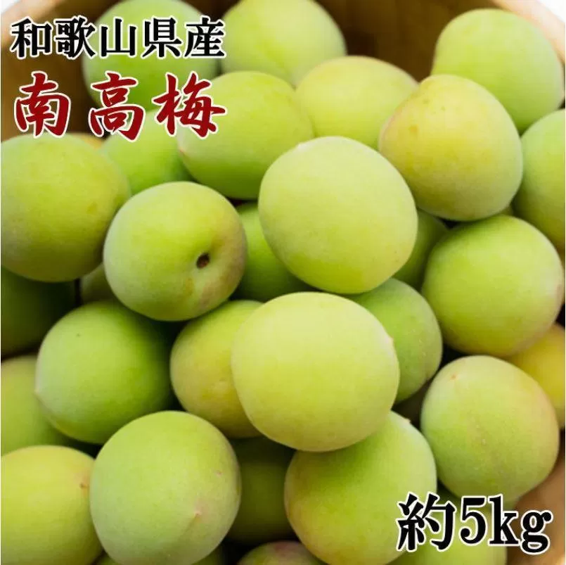 ［和歌山名産］南高梅約5kg（サイズ混合）★2026年６月より順次発送［TM176］