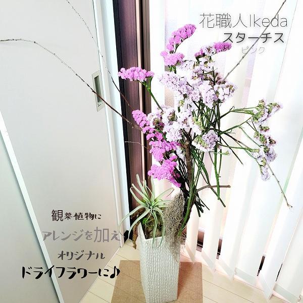 生花《スターチス》 花職人Ikeda（ピンク）｜印南町｜和歌山県｜返礼品