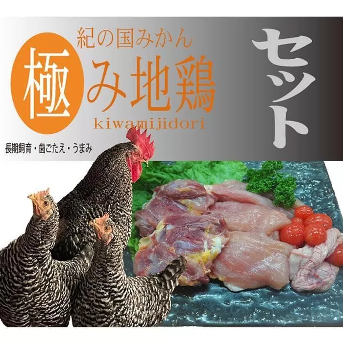 紀の国みかん極み地鶏セット